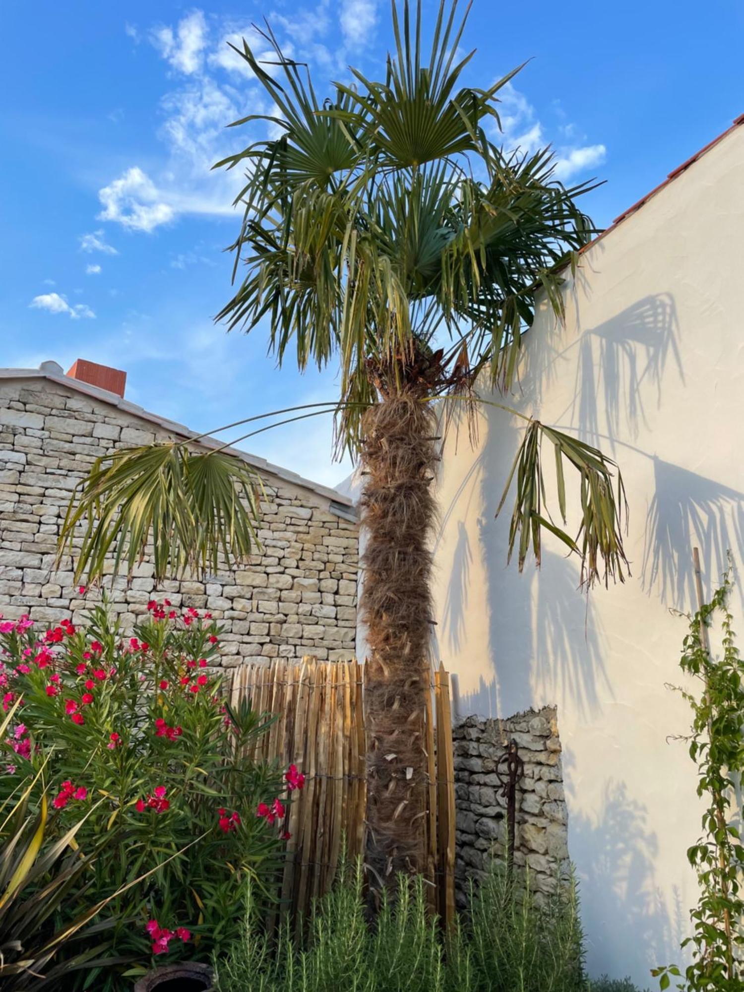 Maisons 322 - Maison La Flamboyante Le Bois-Plage-en-Ré Εξωτερικό φωτογραφία